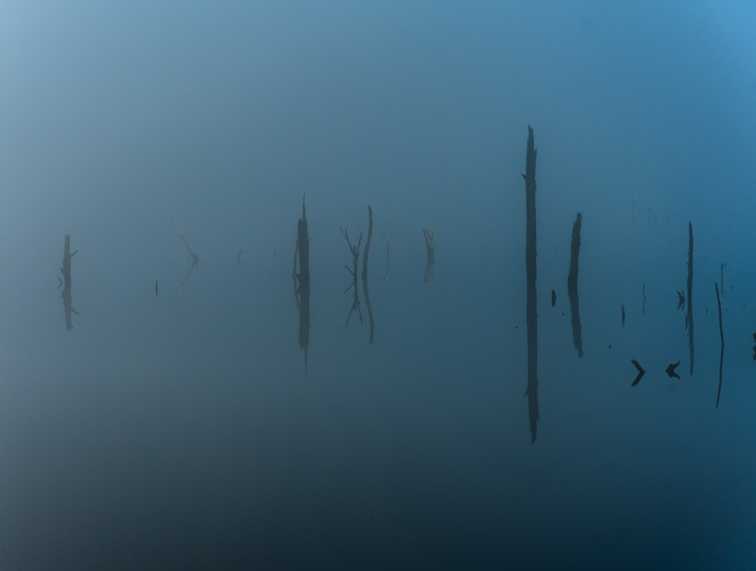 Warren Lloyd Photography background image